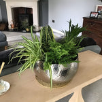 Xl Metal Bowl 32 X 20cm Hammered Silver Colour - Curvy Edge