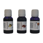 Nickel Oil Burner Set (summer)