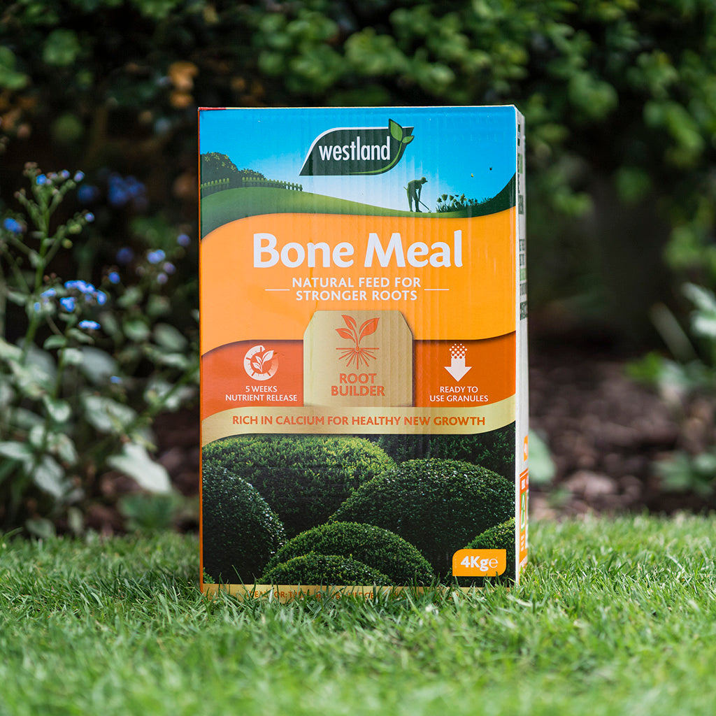 Bone Meal Fertilizer - High Phosphorus Npk 4:20:0 Ready To Use | 8kg