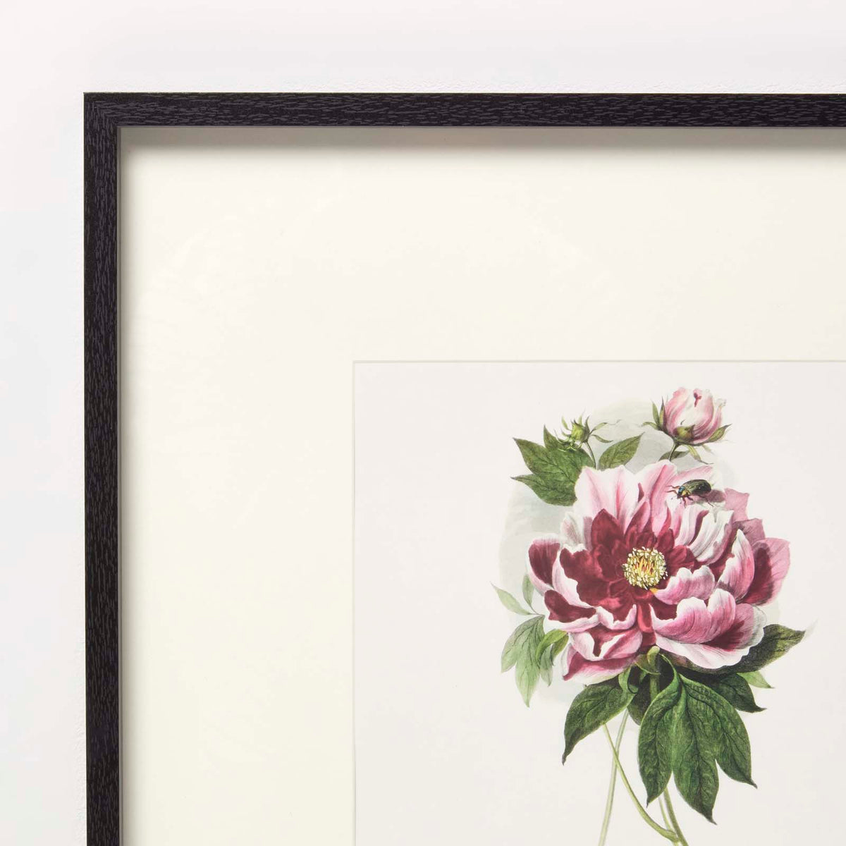 HOMESCAPES Wall Decoration Set Of 3 Frames With Picture, Peonies