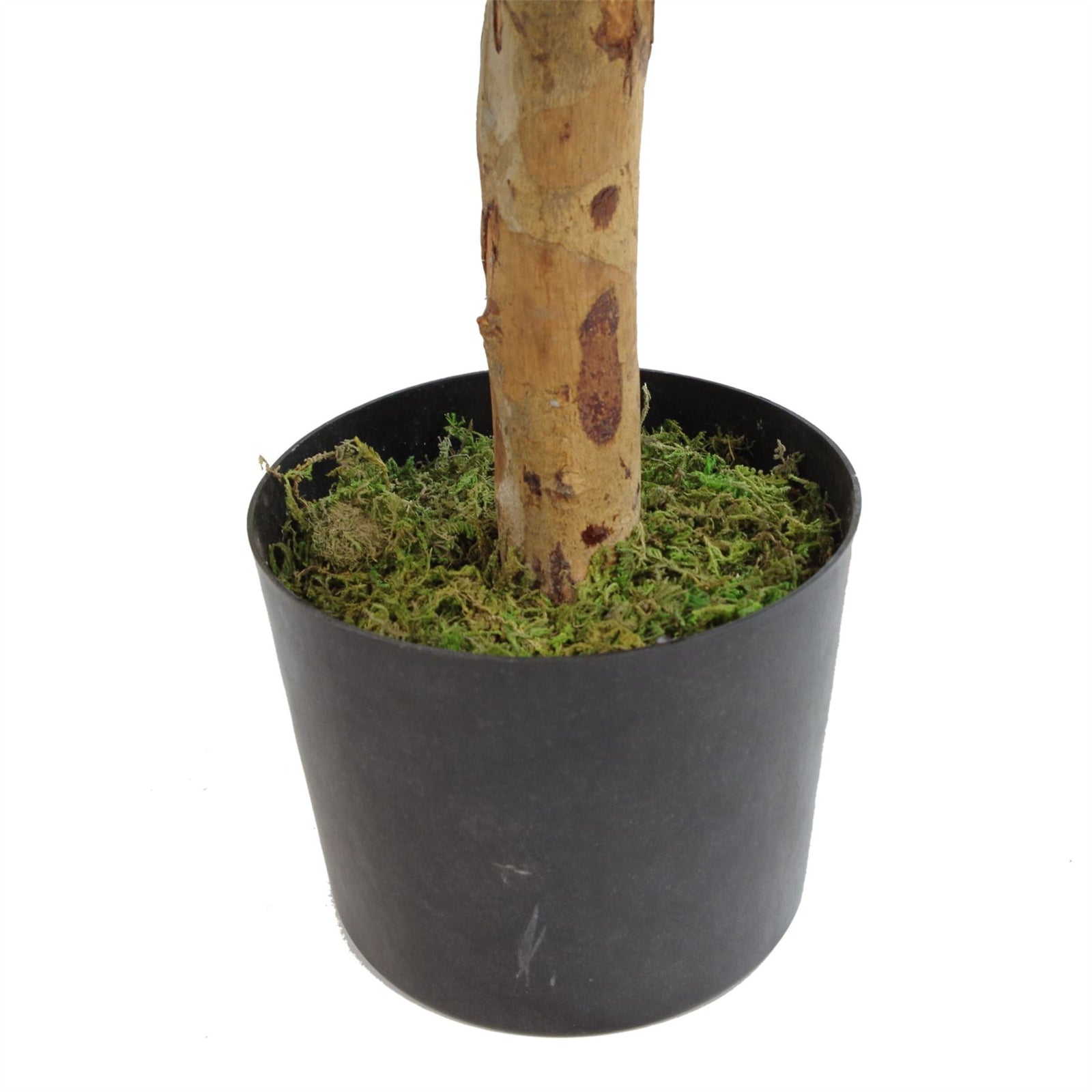 100cm Artificial Dracaena Plant Tree With Pot Premium Range