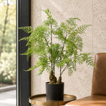Artificial 60cm Natural Moss Base Fern Foliage Plant