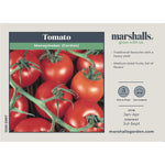 Cordon Tomato 'moneymaker' Seeds | 70 Seeds