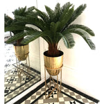 Artificial 70cm Tropical Cycas Palm Plant