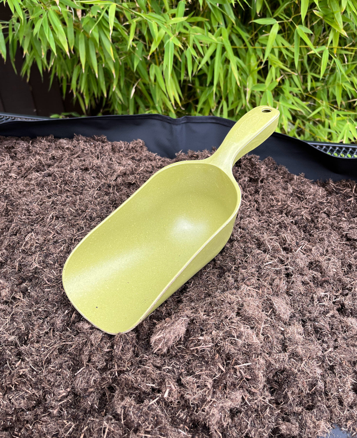 Bamboo Compost Scoop | Set-of-2 | Green