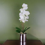 Artificial 46cm Orchid White With Silver Pot