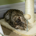51cm Cat Activity Centre W/ Top Bed, Toy Ball, Sisal Scratching Post