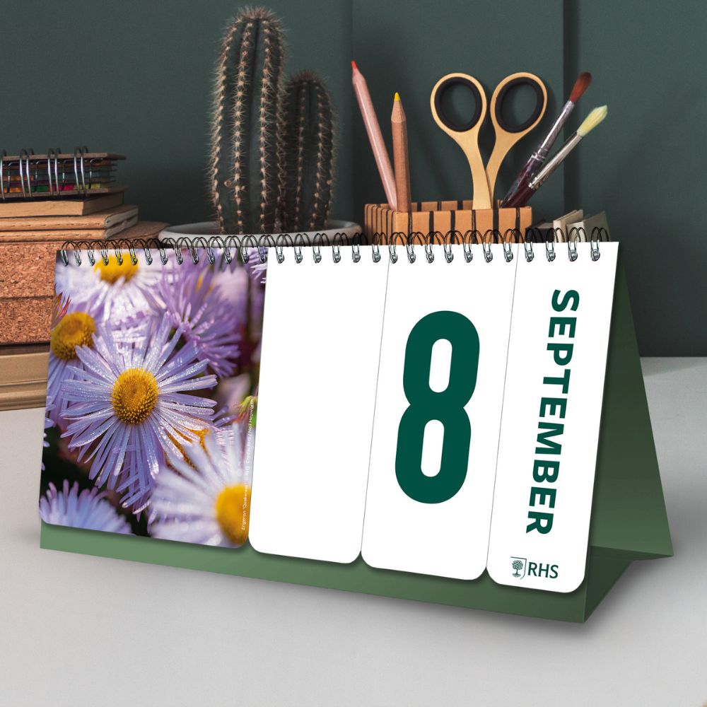 Perpetual Desk Calendar Official Product