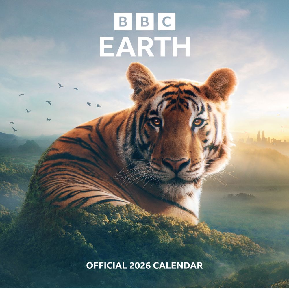 2026 Square Calendar Official Product