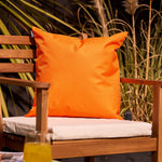 Fruit Print Set Of 4 Outdoor Cushion