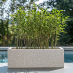 Zinc Galvanised Trough Planter | 100cm x 40cm x 40cm | Grey & White