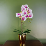 Artificial 48cm Harlequin Orchid Pink With Gold Pot