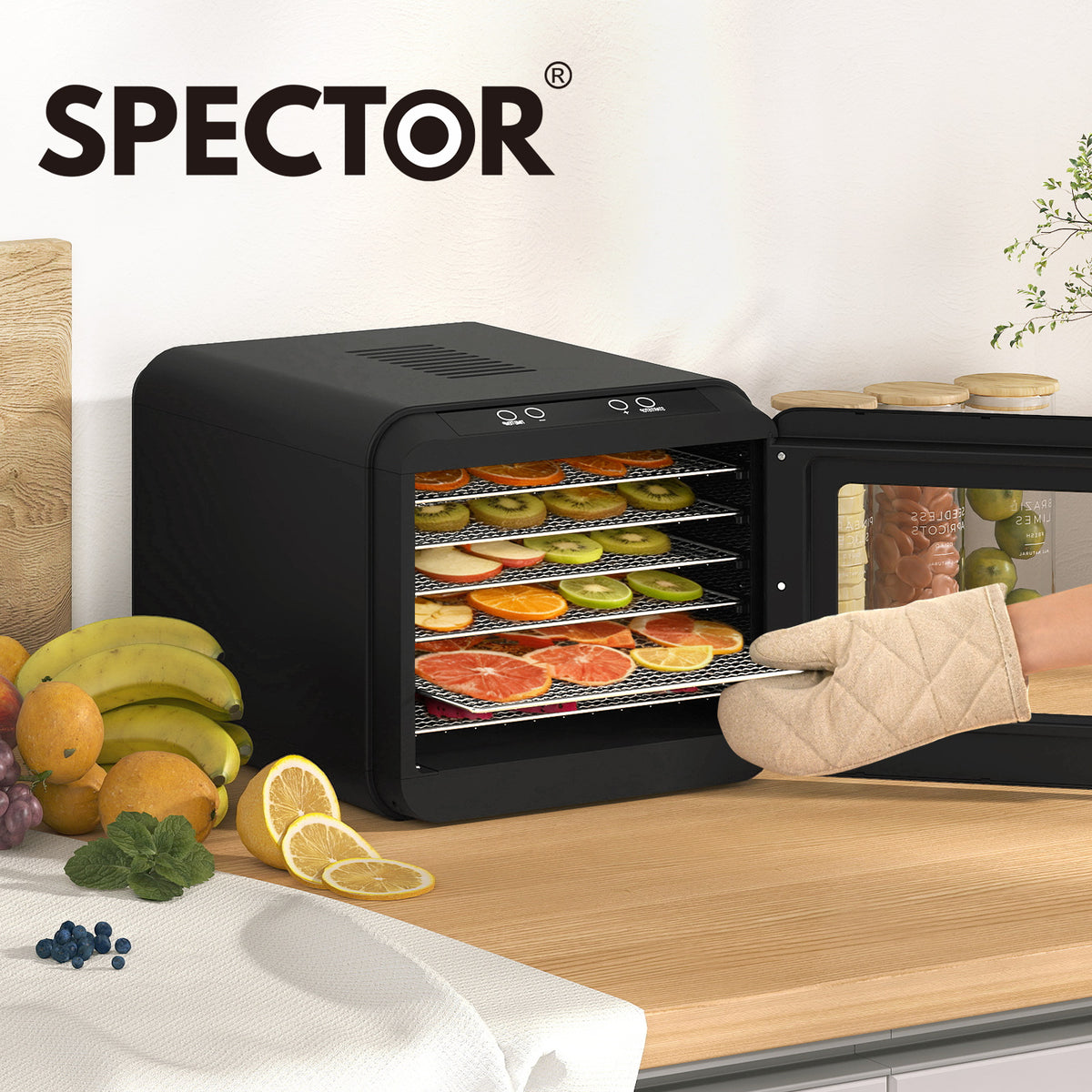 Spector Electric Food Dehydrator 6 Stainless Steel Trays Touch Control 72h Timer