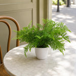 Artificial 30cm Potted Southern Wood Fern