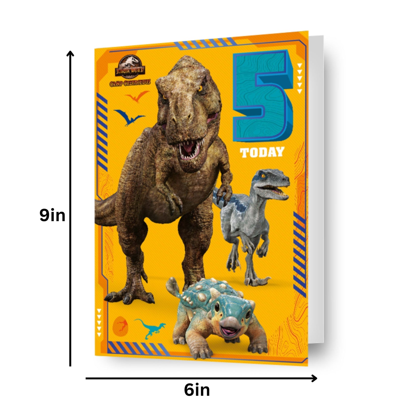 Age 5 Birthday Card Official Product