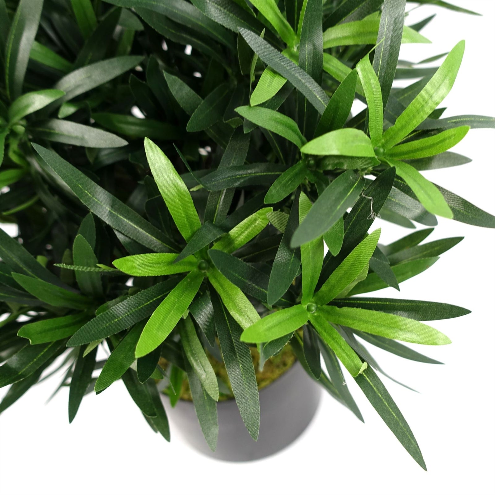 Realistic Artificial Bush Plant 40cm Podocarpus - Realistic Plant By Botanik