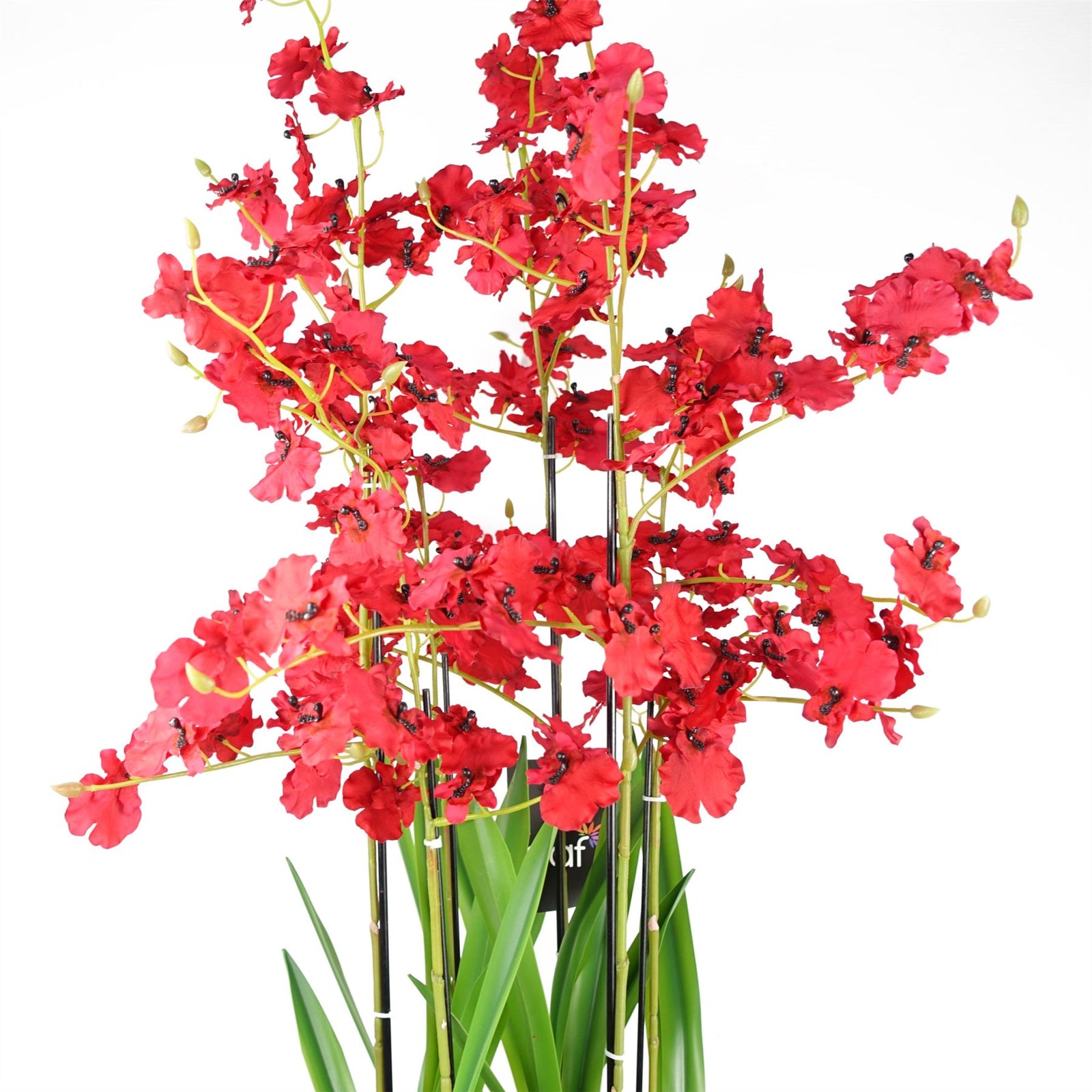Artificial 90cm Oncidium Orchid Red In Stoneware Planter