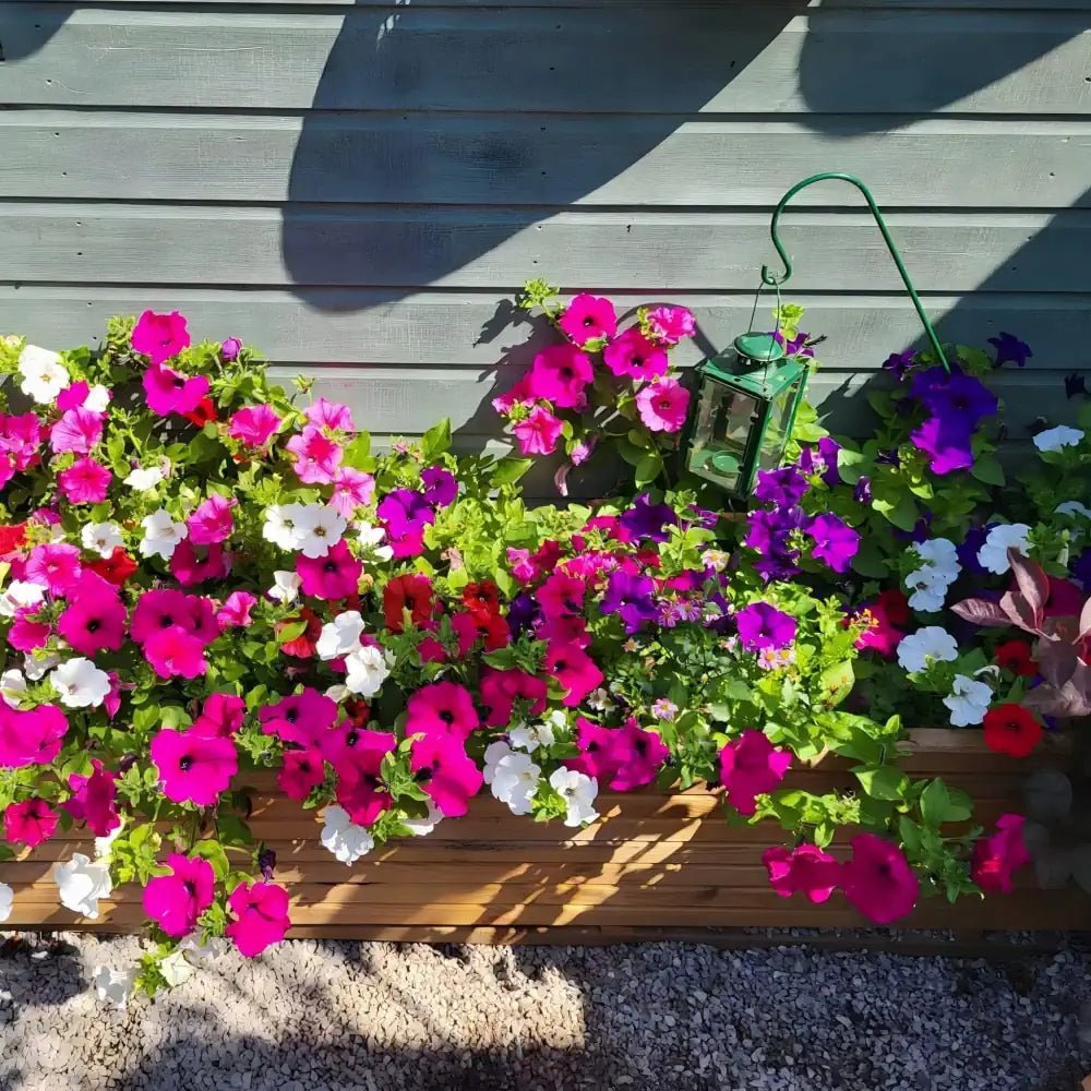 Pine Wooden Trough Planter With Feet | 180cm x 42cm x 38cm | Brown