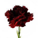 12 X Red Carnation Artificial Flowers