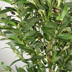 Artificial 160cm Olive Tree 72 Olives