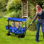Trolley Cart Storage Wagon With Handle, Canopy Black | Blue