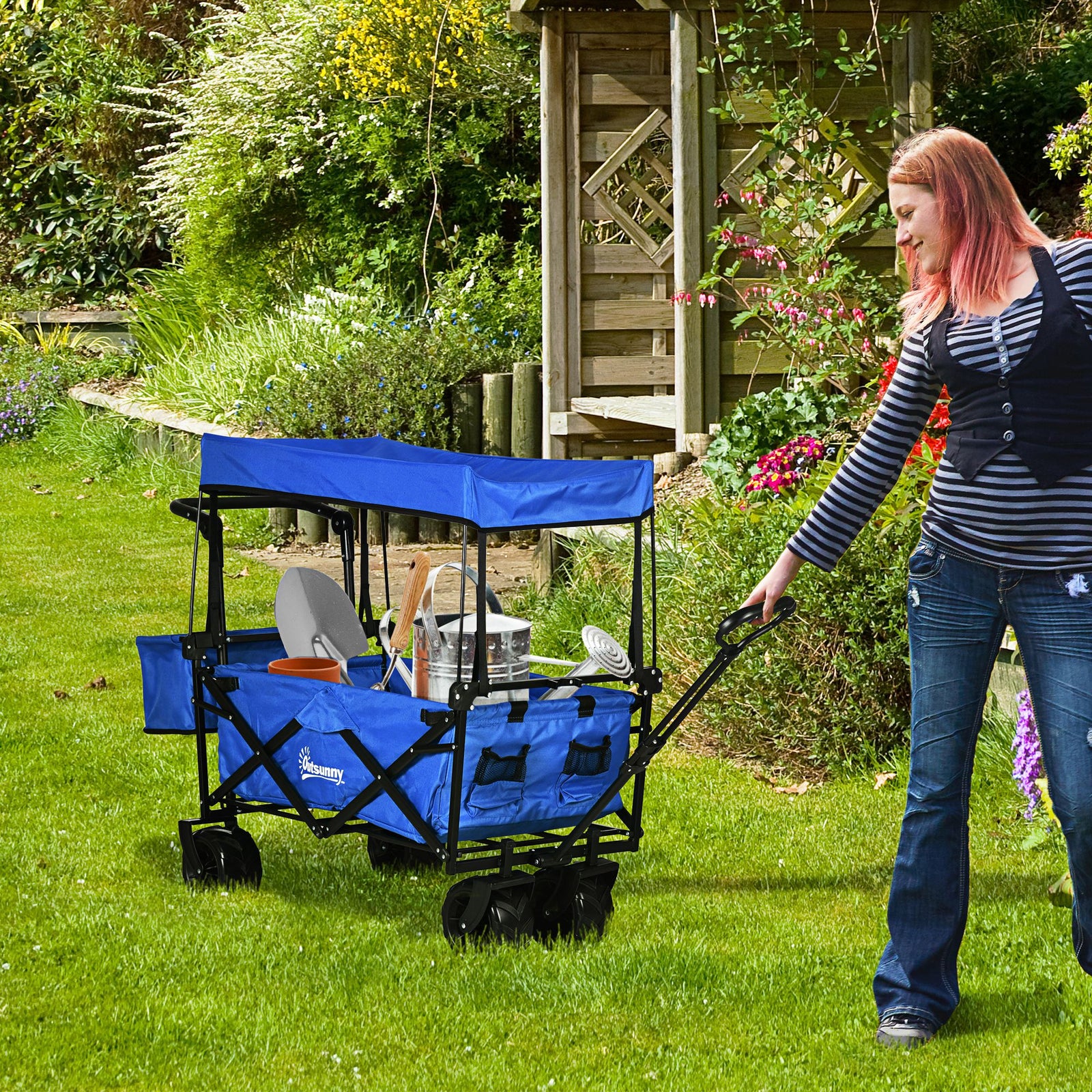 Trolley Cart Storage Wagon With Handle, Canopy Black | Blue