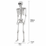 Yezi Halloween Skeleton Life Size 169cm Posable Jointed Abs Spooky Patio White