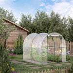 Transparent Polytunnel Greenhouse 2.5x2x2m