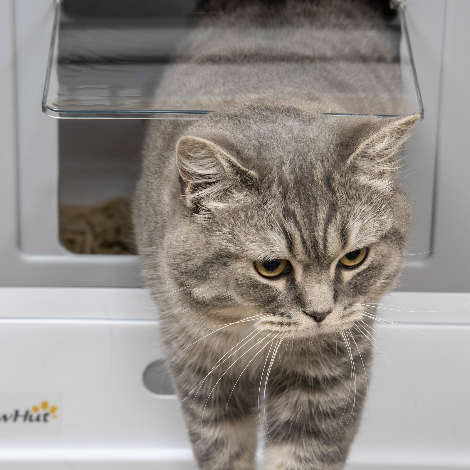 Hooded Cat Litter Box W/ Tray, Scoop, Front Entry | Gray