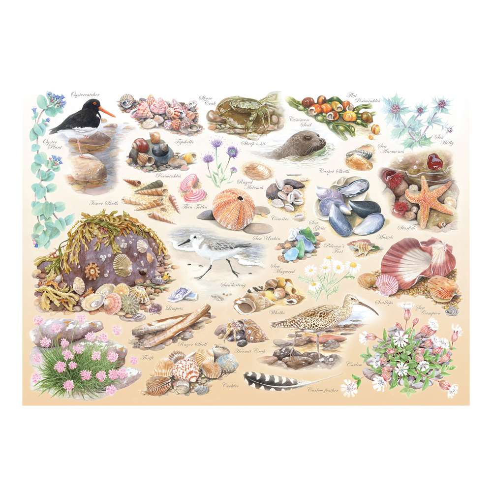 The House of Puzzles Sea Shore Big 500 Piece Jigsaw Puzzle