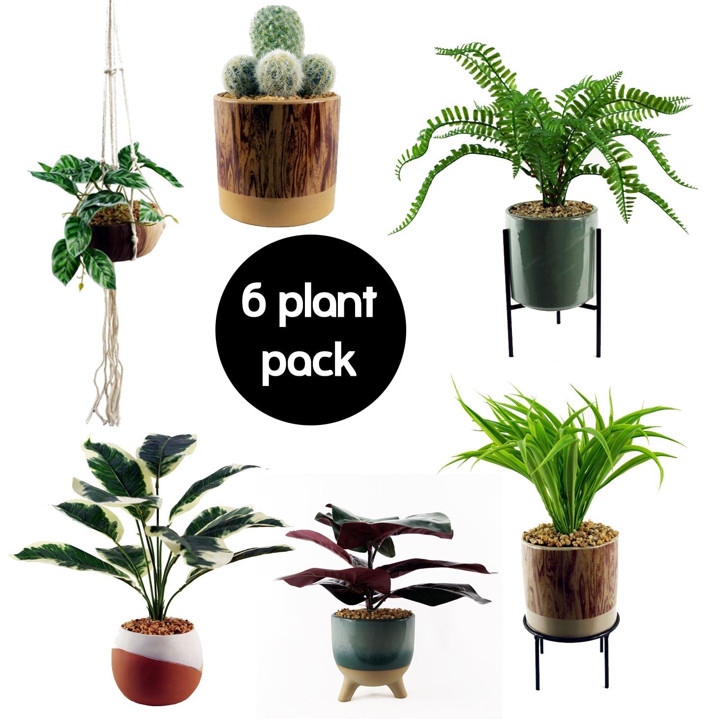 Pack Of 6 Premium Artificial Plants