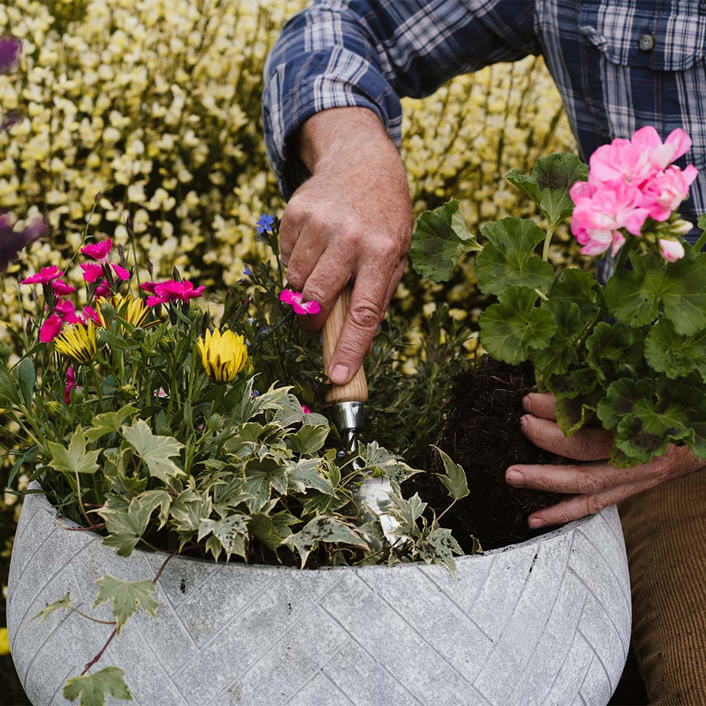 Container & Basket Planting Mix - Water Retaining, 6 Month Feed | 50l