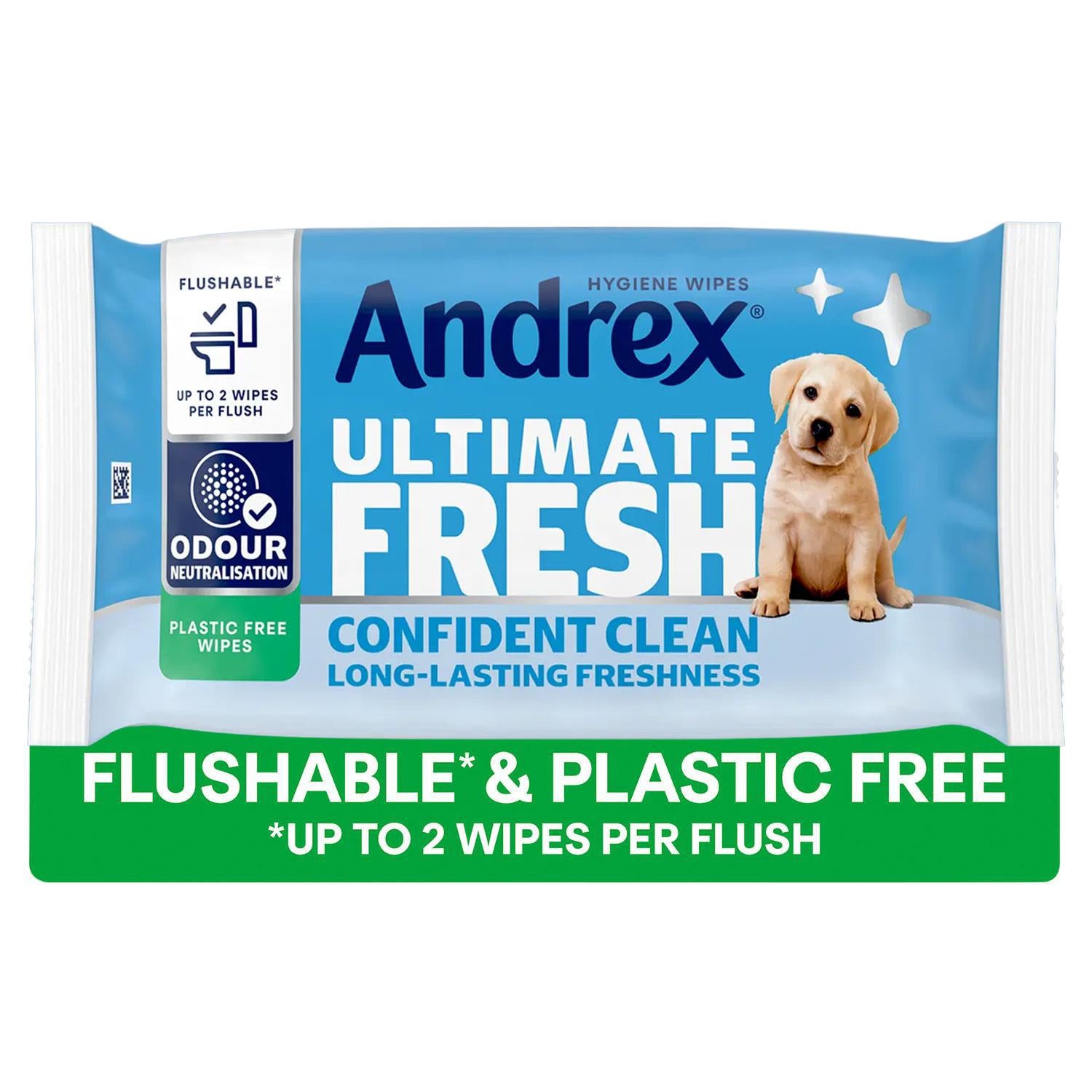 Washlets Confident Clean Biodegradable & Flushable Toilet Wipes, 2Pk