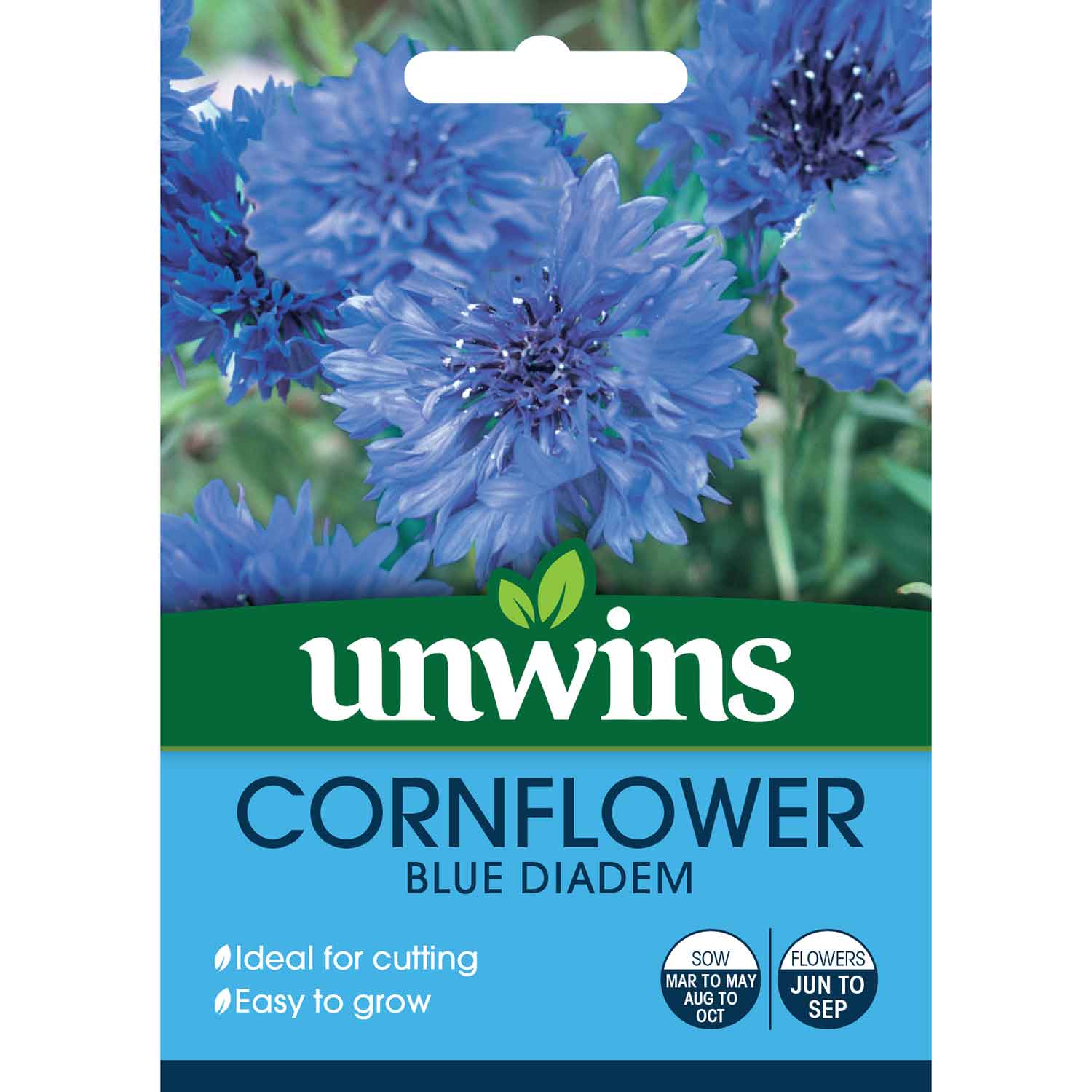 Cornflower Blue Diadem Seeds | 200 Seeds