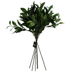 Leaf Pack Of 6 X 90cm Artificial Ficus Foliage Stem
