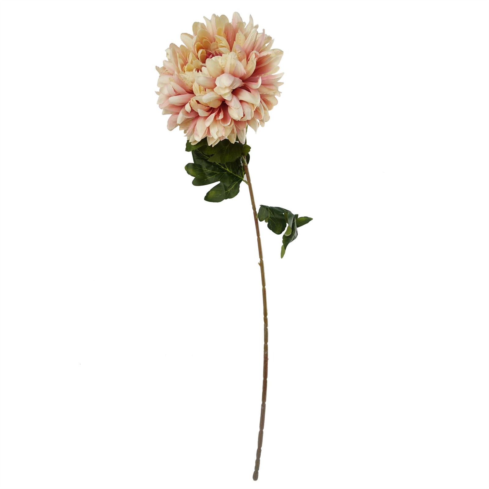 Pack Of 6 X 75cm Extra Large Reflex Chrysanthemum - Pink