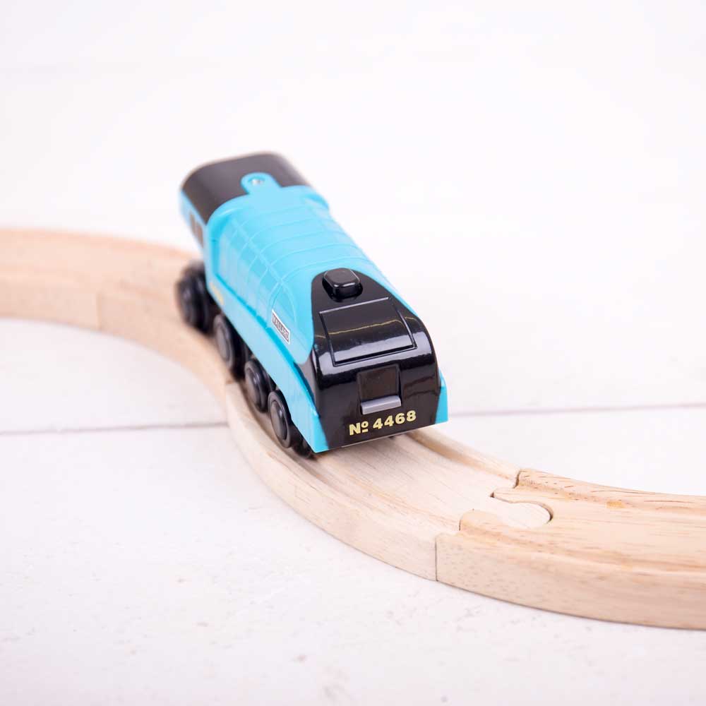 Battery Powered Replica of the Mallard Train Engine