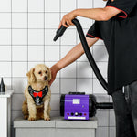 2800w Dog Hair Dryer Pet Grooming Blaster Blower Dryer 3 Nozzles | Purple