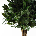 Bay Tree Laurel Uv Resistant Outdoor Topiary 120cm Artificial
