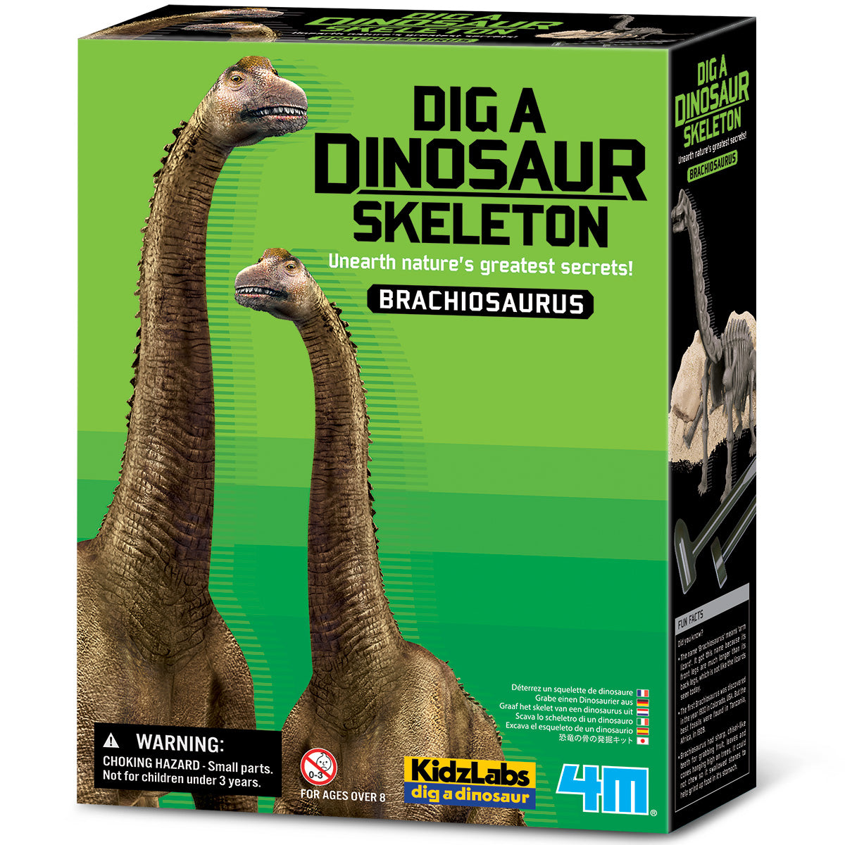 4M Kidzlabs - Dig A Dinosaur Skeleton - Brachiosaurus