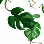 Artificial 100cm Trailing Hanging Monstera Plant Realistic