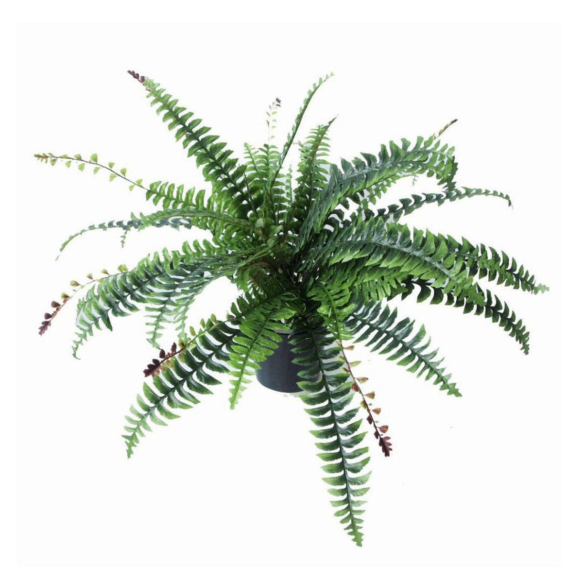 60cm  Design Uk Realistic Large Artificial Foliage Plant With Pot