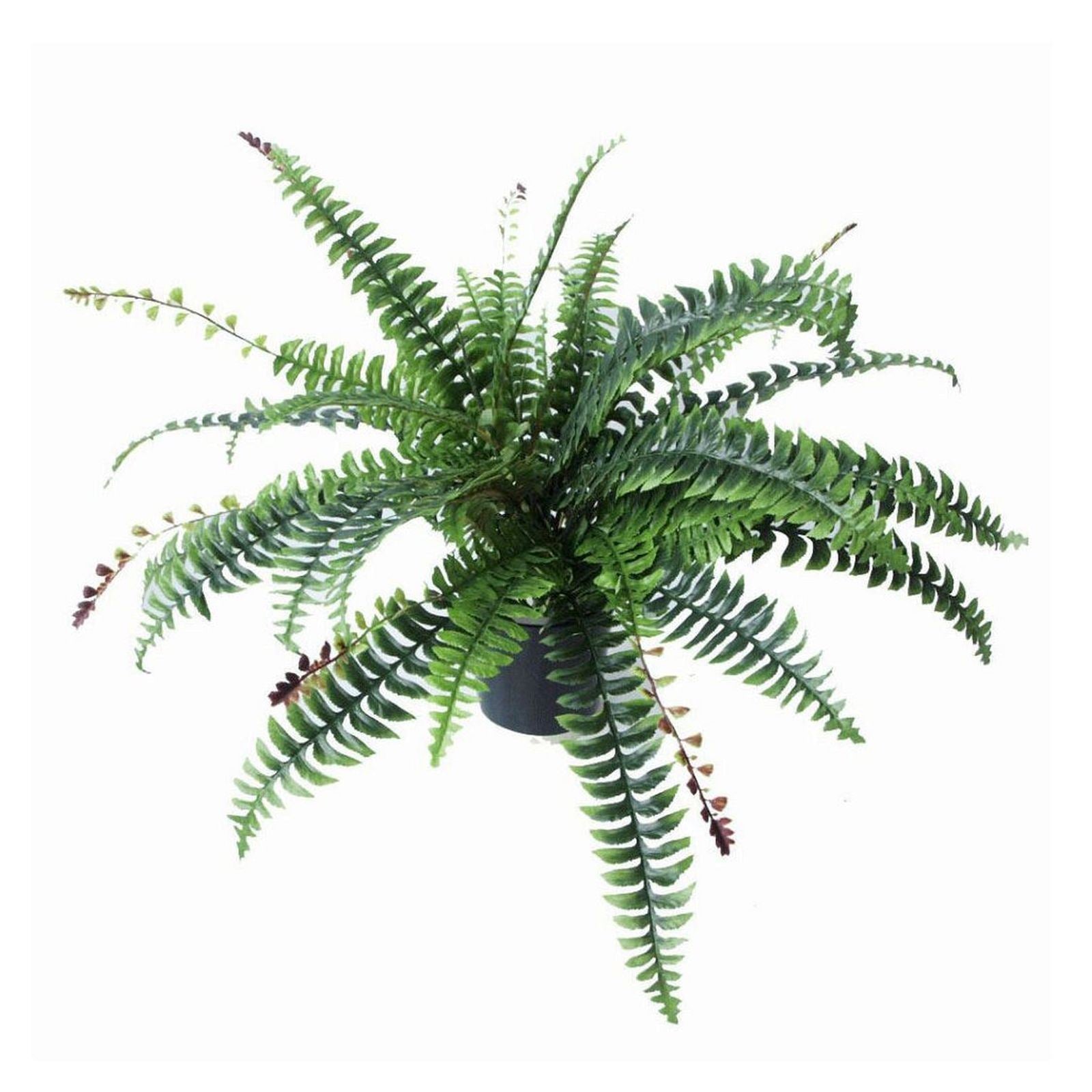 60cm  Design Uk Realistic Large Artificial Foliage Plant With Pot
