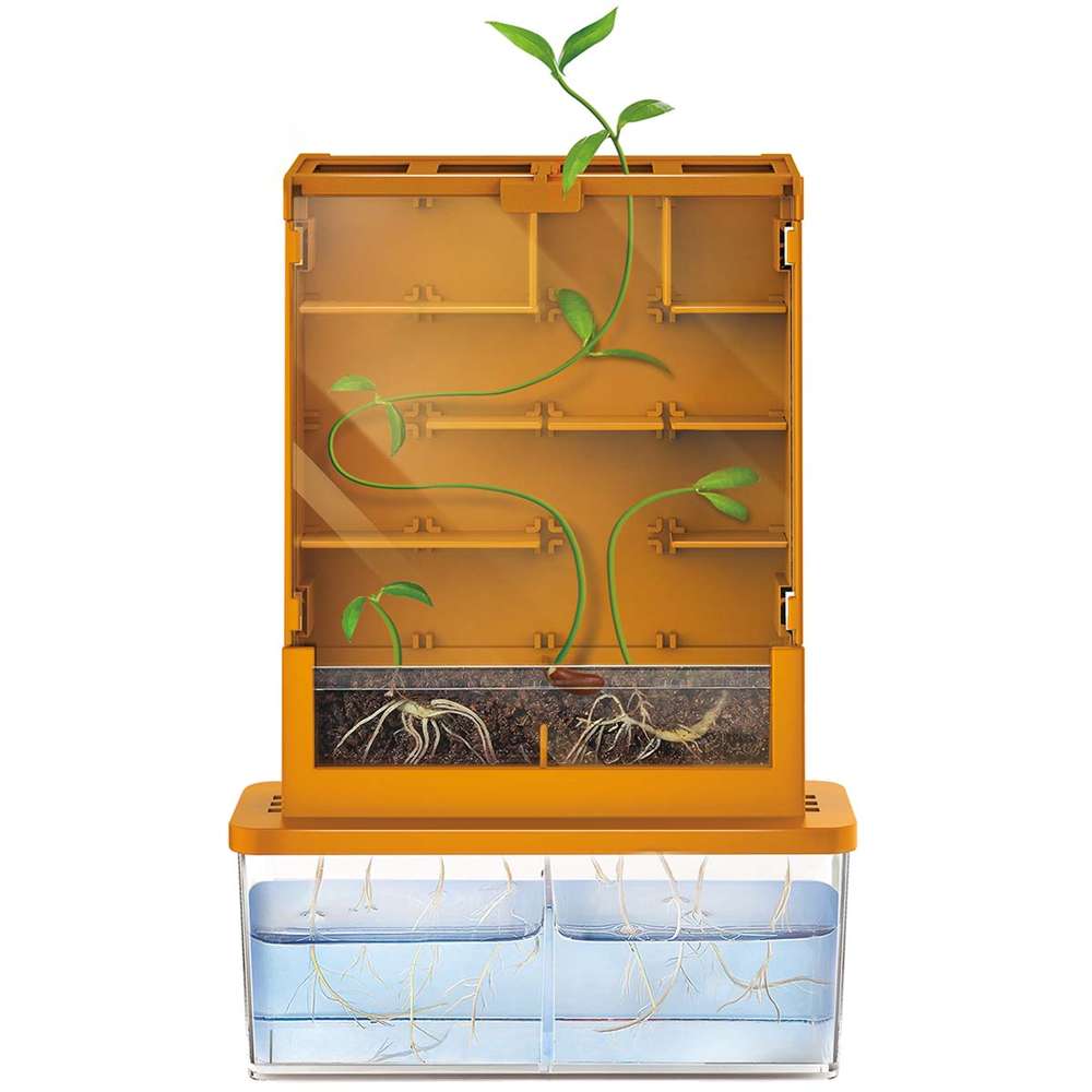 Green Science - Grow-a-maze