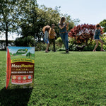 Moss Master Natural Moss Remover And Lawn Feed - Up To 3 Months 80 sqm | Single