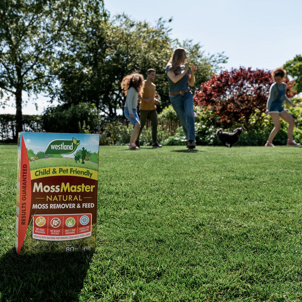 Moss Master Natural Moss Remover And Lawn Feed - Up To 3 Months 80 sqm | Single