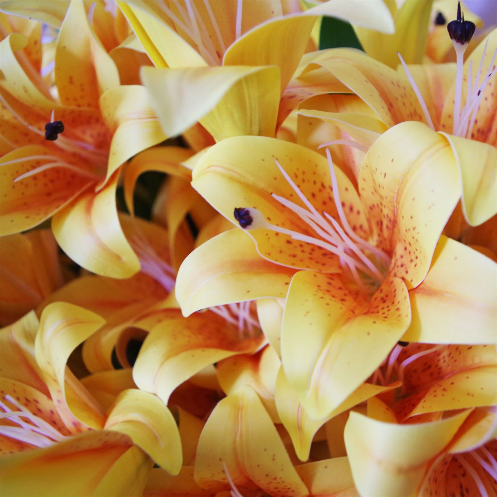12 X 60cm Artificial Lily Stem Yellow 144 Flowers