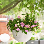 3pcs Black Hanging Flower Baskets – 16.5 Cm Plastic Planters For Home Decor | White