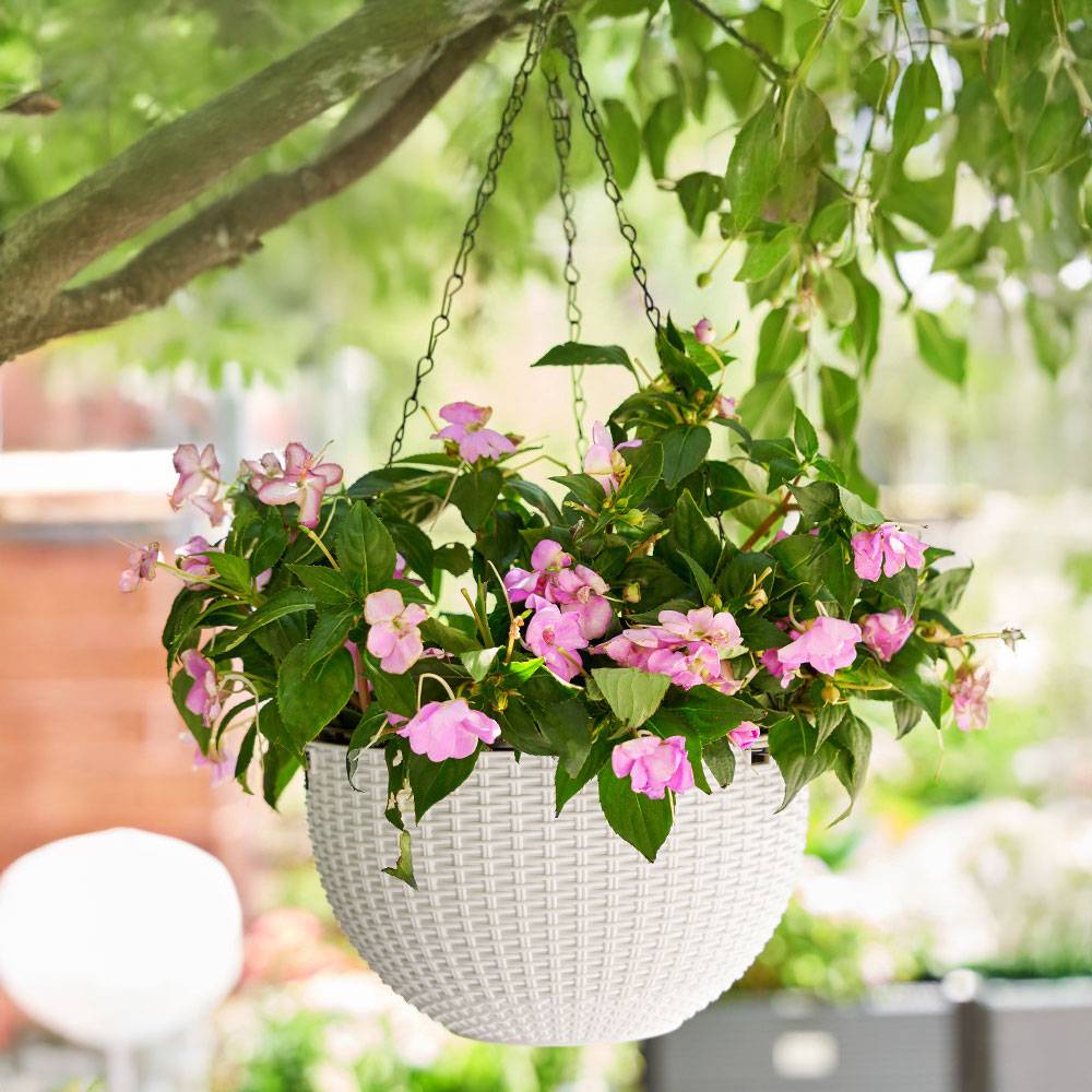 3pcs Black Hanging Flower Baskets – 16.5 Cm Plastic Planters For Home Decor | White