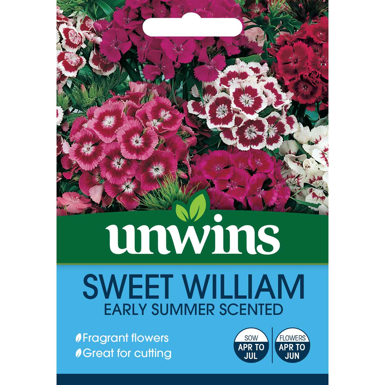 Sweet William 'early Summer Scented' Seeds | 400 Seeds